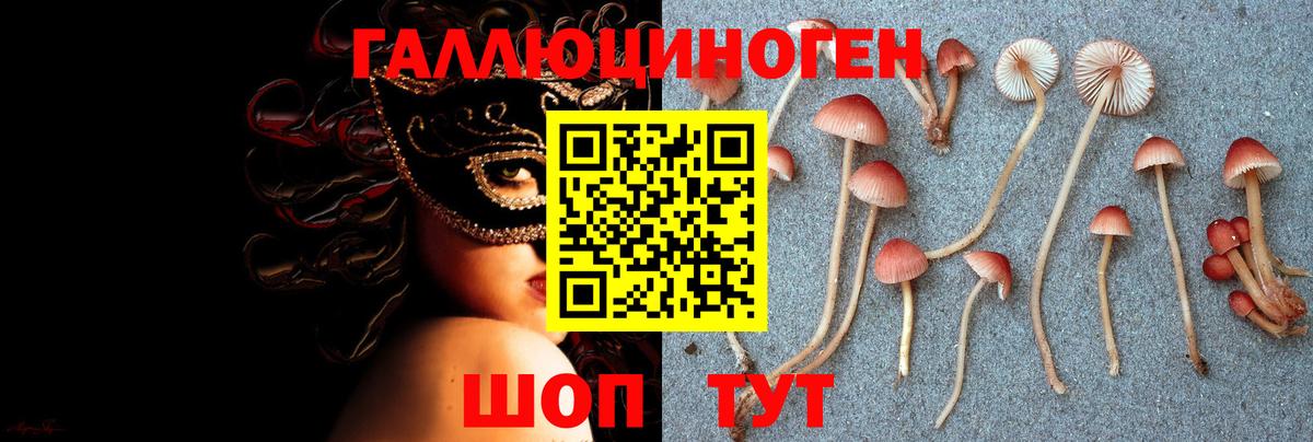 Советский  Галлюциногенные грибы прущие грибы  Вход с VPN 